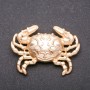 Broche «Cangrejo real» de metal amarillo 54×38 mm